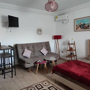 Modern Oasis - Rare Stylish Tunis